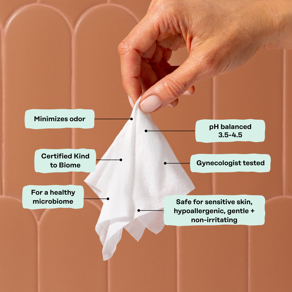 Prebiotic Intimate Wipes (AJ3N)