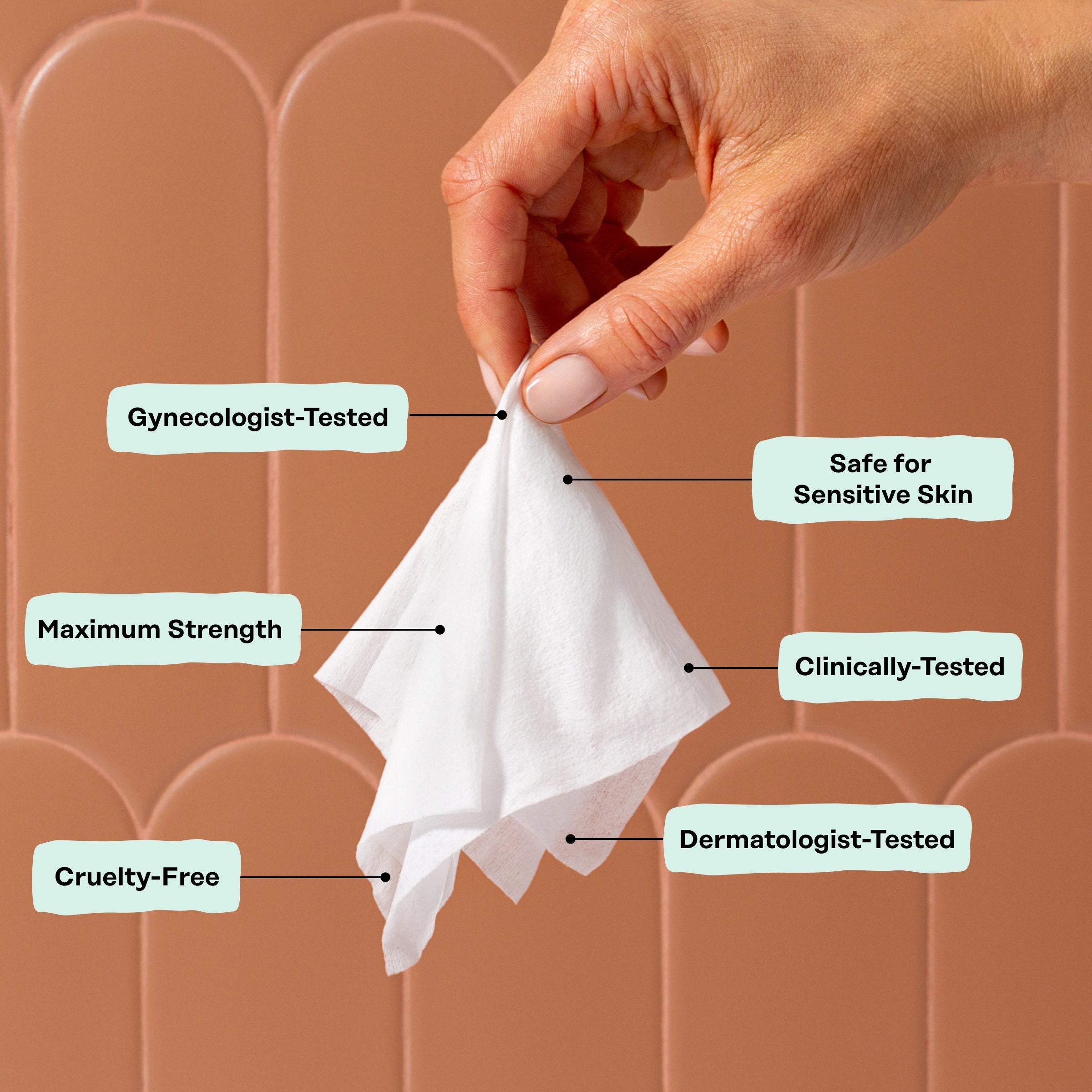 Anti-Itch Intimate Wipes (PGE6)